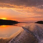 Damas Mangrove Boat Tour - Who Should Consider This Tour?