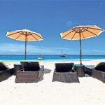 Dark View Falls & Botanical Gardens with Trubb Taxi Tours - Transportation and Group Dynamics