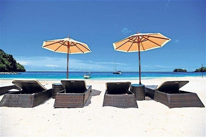 Dark View Falls & Botanical Gardens with Trubb Taxi Tours - Transportation and Group Dynamics