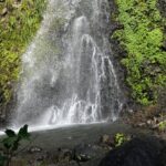 Dark View Falls Tour and Beach - Private Tour - Who Will Love This Tour?