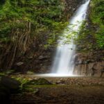 Dark View Falls Tour with Trubb Taxi Tours SVG - Who Should Consider This Tour?