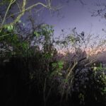 Dawn of the Summits: Hiking and Breakfast Facing the Sun - Exploring the Dawn of the Summits Experience in Depth