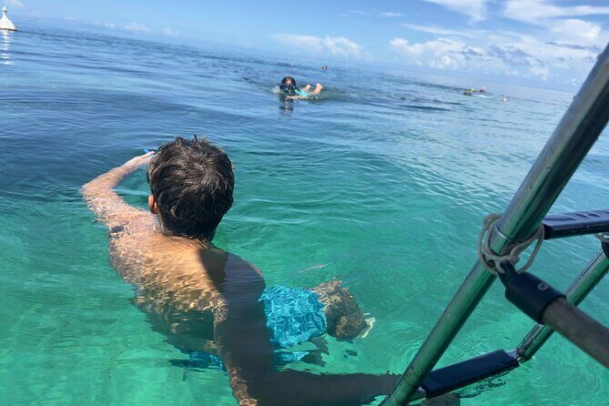 Day Lagoon 100% Sailing stops Snorkelling Paddle - Who Should Consider This Tour?