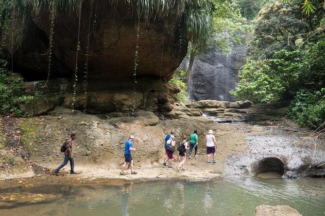 Day of Adventure - Zipline and Hike or Bike - Who Would Love This Tour?