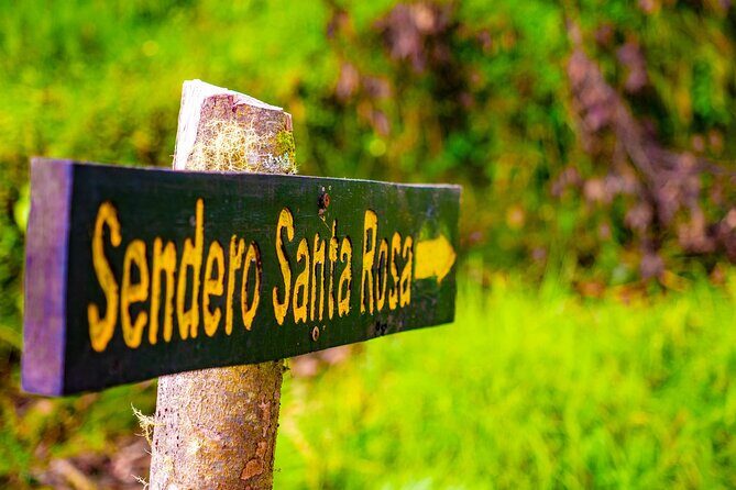 Day pass Iral Cloud Forest trails and lunch - Final Thoughts