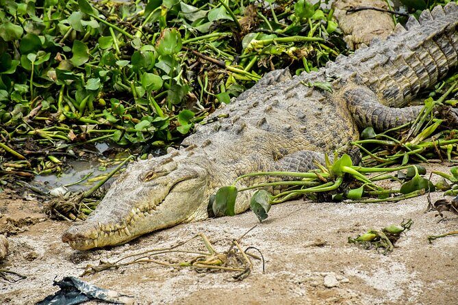 Day pass to Ponderosa Adventure Park - The Itinerary Breakdown