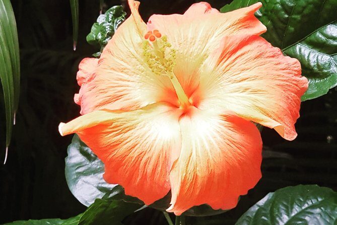 Day Spa Break - The Sum Up