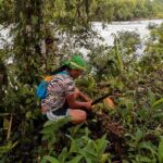 Day tour in the Puyopungo Amazon Rainforest - Exploring the Amazon Rainforest from Baños: An Authentic Day of Nature and Culture