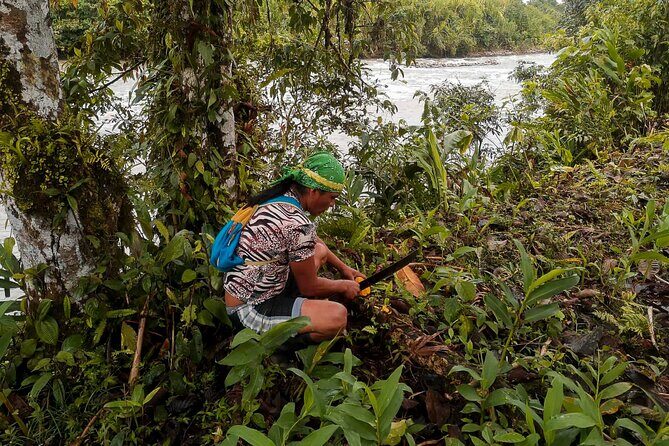 Day tour in the Puyopungo Amazon Rainforest - Exploring the Amazon Rainforest from Baños: An Authentic Day of Nature and Culture