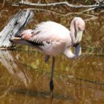 Day Tour to Floreana Island with Snorkeling and Fishing - Possible Drawbacks to Keep in Mind