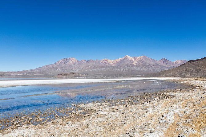 Day Tour to Laguna de Salinas - Who Should Consider This Tour?