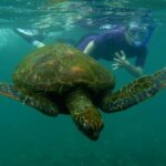 Day tour to Pinzón Island and La Fé/Palmitas Bay with snorkeling and fishing - What Travelers Are Saying