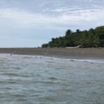 Day Tour Whale Watching from Cali - Sundays - - What We Loved