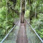 Day Trip from San Jose to Arenal Hanging Bridges & Tabacon Hot Springs - Final Thoughts