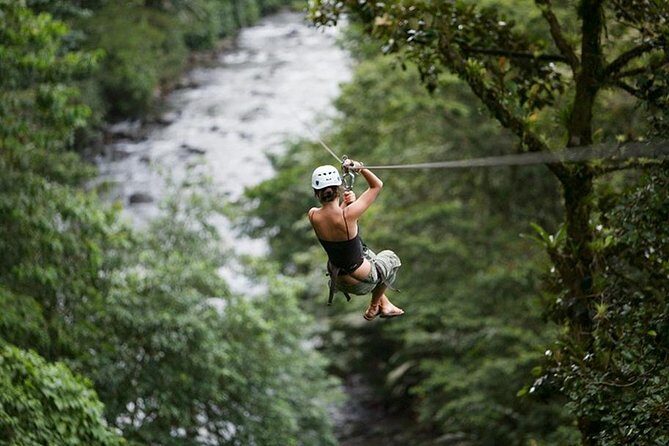 Day Trip from San Jose to Braulio Carrillo Canopy Tour - Exploring the Itinerary in Detail