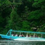 Day Trip from San Jose to La Paz Waterfall Gardens & Safari in Sarapiqui River - Final Thoughts