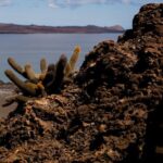 Day Trip to Bartolome Island from Puerto Ayora - What Makes This Tour Stand Out?
