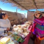 Day Trip to Cachi from Salta - Valle de Lerma and the Charm of Rural Argentina