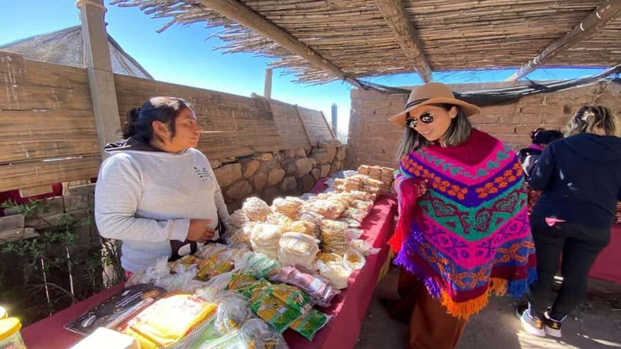 Day Trip to Cachi from Salta - Valle de Lerma and the Charm of Rural Argentina