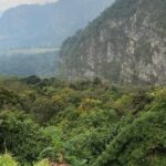 Day Trip to Chicaque National Parkfrom Bogota - Who Would Love This Tour?