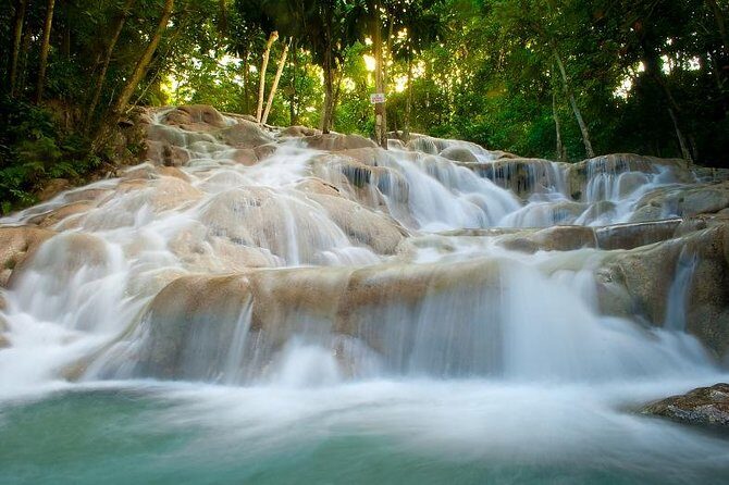Day Trip to Dunn's River Falls from Montego Bay - Who Will Love This Tour?