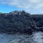 Day Trip to Isabela Island and Tintoreras in Galápagos - Practical Tips for Your Trip
