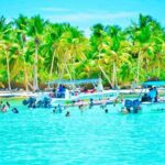 Day Trip to Saona Island with Lunch and Open Bar - A Close Look at the Saona Island Day Trip