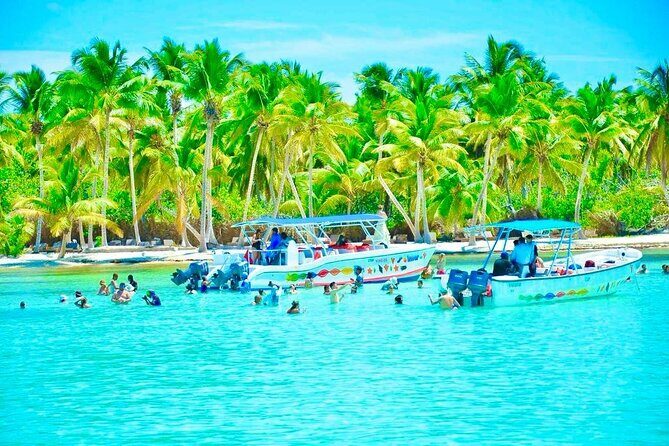 Day Trip to Saona Island with Lunch and Open Bar - A Close Look at the Saona Island Day Trip