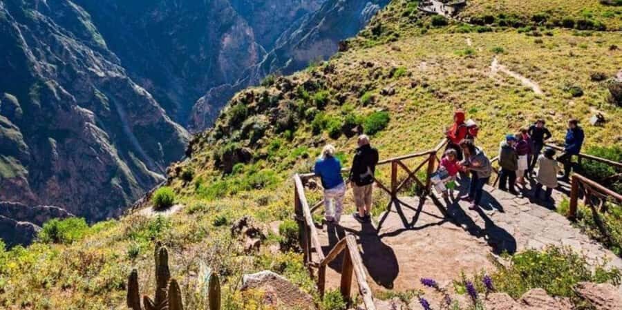 Day trip to the Colca Canyon with connection to Puno - The Journey Begins: From Arequipa to the Depths of the Canyon