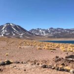 Day trip to the Red Rocks and the Altiplano Lagoons - An In-depth Look at the Day Trip from San Pedro de Atacama