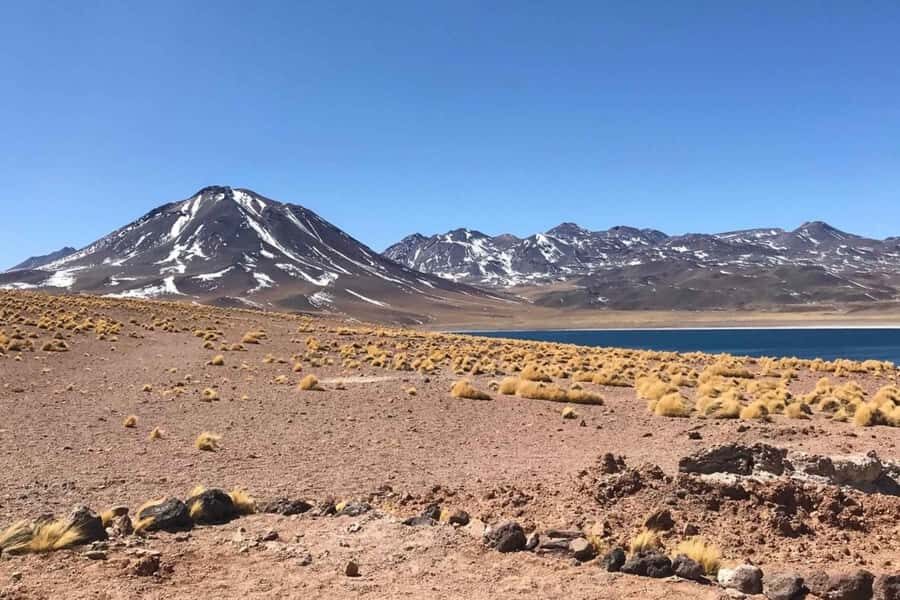 Day trip to the Red Rocks and the Altiplano Lagoons - An In-depth Look at the Day Trip from San Pedro de Atacama