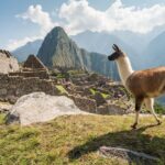 Day Trip Tour to Machu Picchu from Cusco - Who Should Book This Tour?