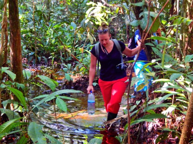 Deep Jungle Experience Plan 4 Days - Day 2: Skills, Swims, and Stories