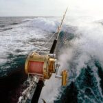 Deep Sea Fishing Tour - The Pros and Cons Highlighted by Travelers