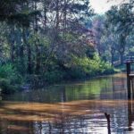 Delta Tigre & San Isidro - Who Should Consider This Tour?