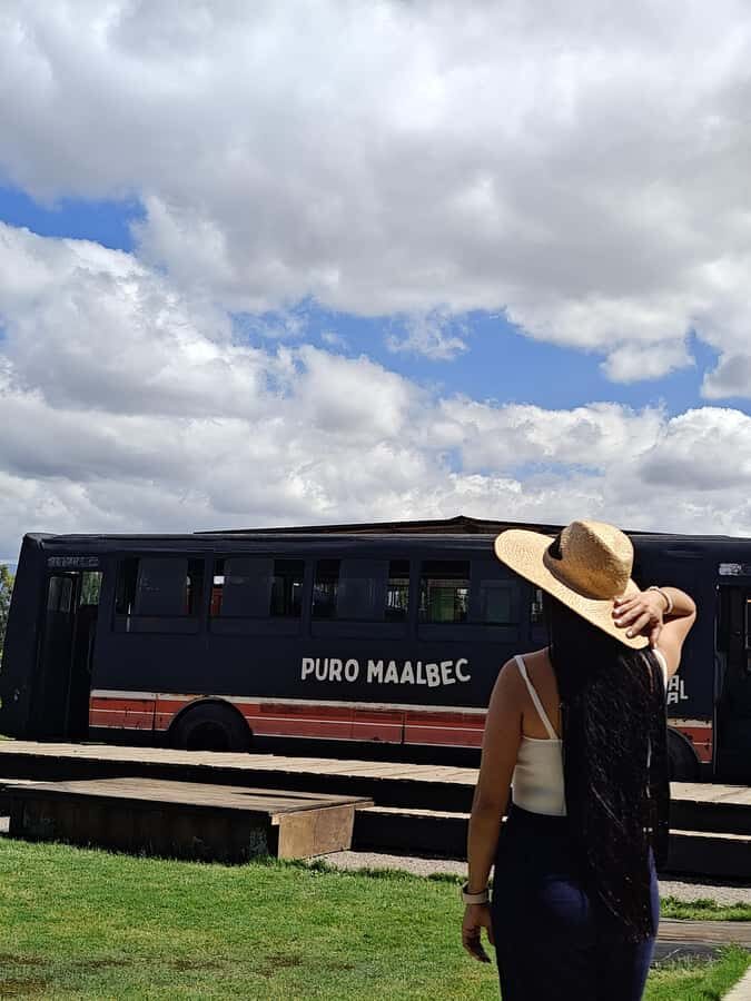 Deluxe Private Tour in Luján de Cuyo : 3 wineries and high quality lunch - Why This Tour Stands Out