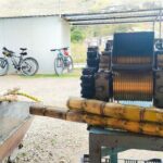 Descent of The Andes by bike, Cuenca - An In-Depth Look at the Descent of The Andes Bike Tour