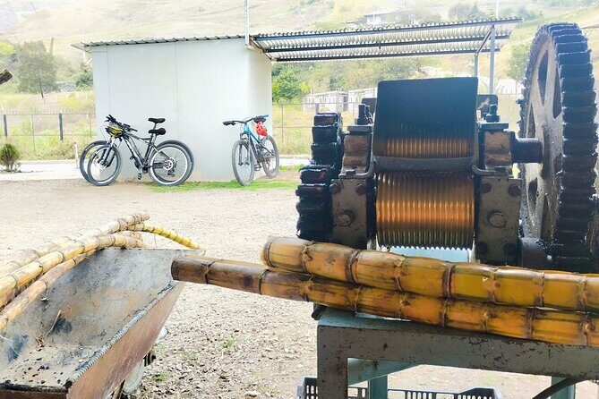 Descent of The Andes by bike, Cuenca - An In-Depth Look at the Descent of The Andes Bike Tour