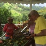 Design your own individual excursion - What Travelers Say and Why It Matters