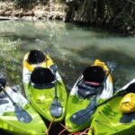 DG Tours - Full-Day Private Tour Experience - Itinerary Breakdown: What Makes Each Stop Special