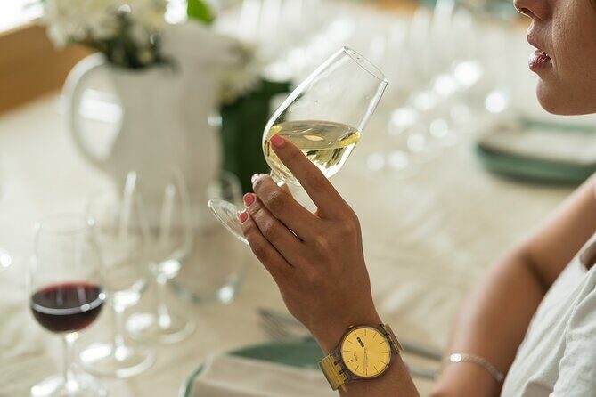 Discover Argentine Wines and Delicious Tapas - An In-Depth Look at the Argentine Wine & Tapas Experience