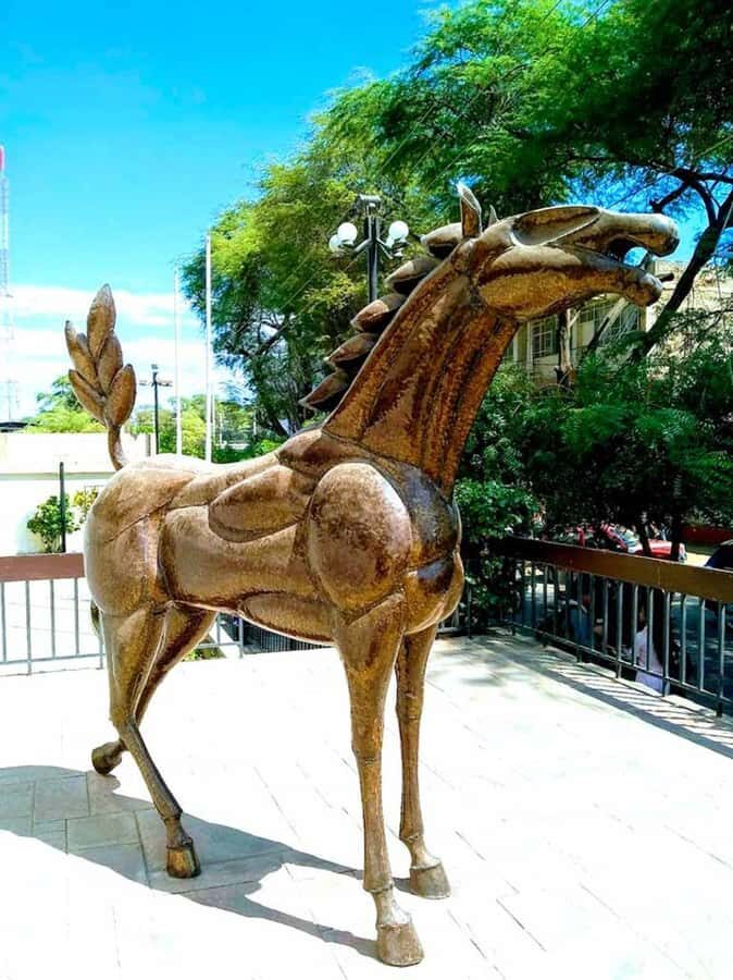 Discover Catacaos and Narihuala: Excursion from Piura - The Charm of Catacaos