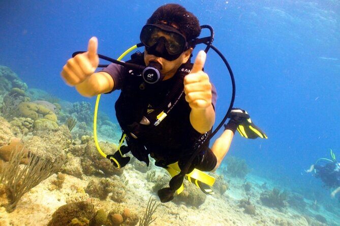 Discover Diving in Curaçao with Transportation Included - Who Should Book This Tour?