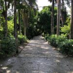 Discover Dominican life - The Sum Up: Is This Tour Worth It?