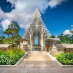 Discover El Yunque National Park: Half-Day Rainforest Tour - What Makes This Tour Stand Out