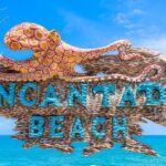 Discover Isla del Rosario Live The Enchanted Beach Experience - The Food and Beverages