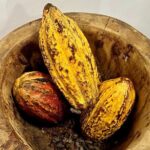 Discover La Romana Culture and local flavours - FAQ