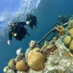 Discover Scuba Dive in Curacao - An In-Depth Look at Discover Scuba Dive in Curacao