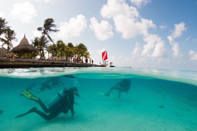 Discover Scuba Diving Experience - What to Expect on Your Curacao Discover Scuba Trip