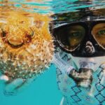 Discover Scuba Diving in Montego Bay-ONE Tank (First time Diving) - The Itinerary: Step-by-step